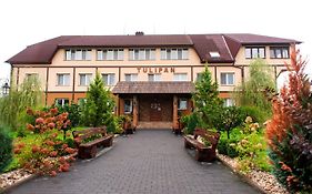 Готель Тюльпан